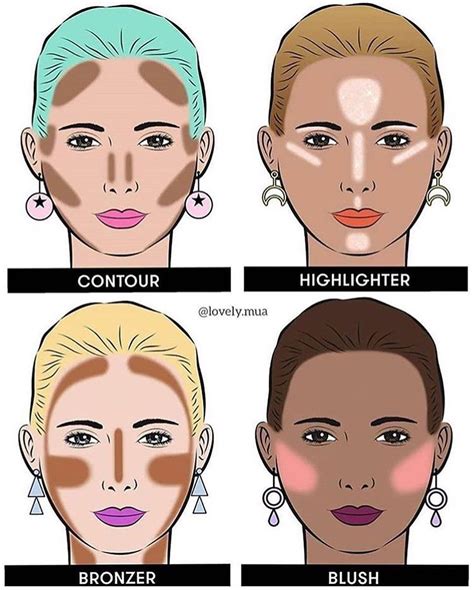 bronzer blush highlighter guide.